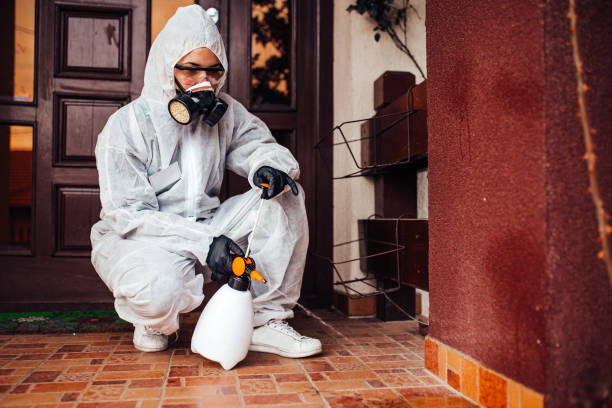 Reliable Bed Bug Control contractor in Manville, NJ by Nex Pest Control
