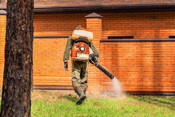 Trusted Termite Control service in Manville, NJ - Nex Pest Control